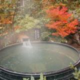 京都大原の民宿~100年続く味噌屋の宿~大原温泉 大原の里