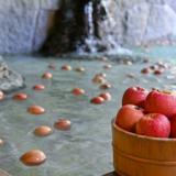 袋田温泉 思い出浪漫館~自然に囲まれた美人の湯~