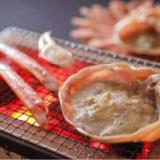 1日8組限定 ~間人蟹と地魚料理~ 大人の絶景隠れ宿 寿海亭